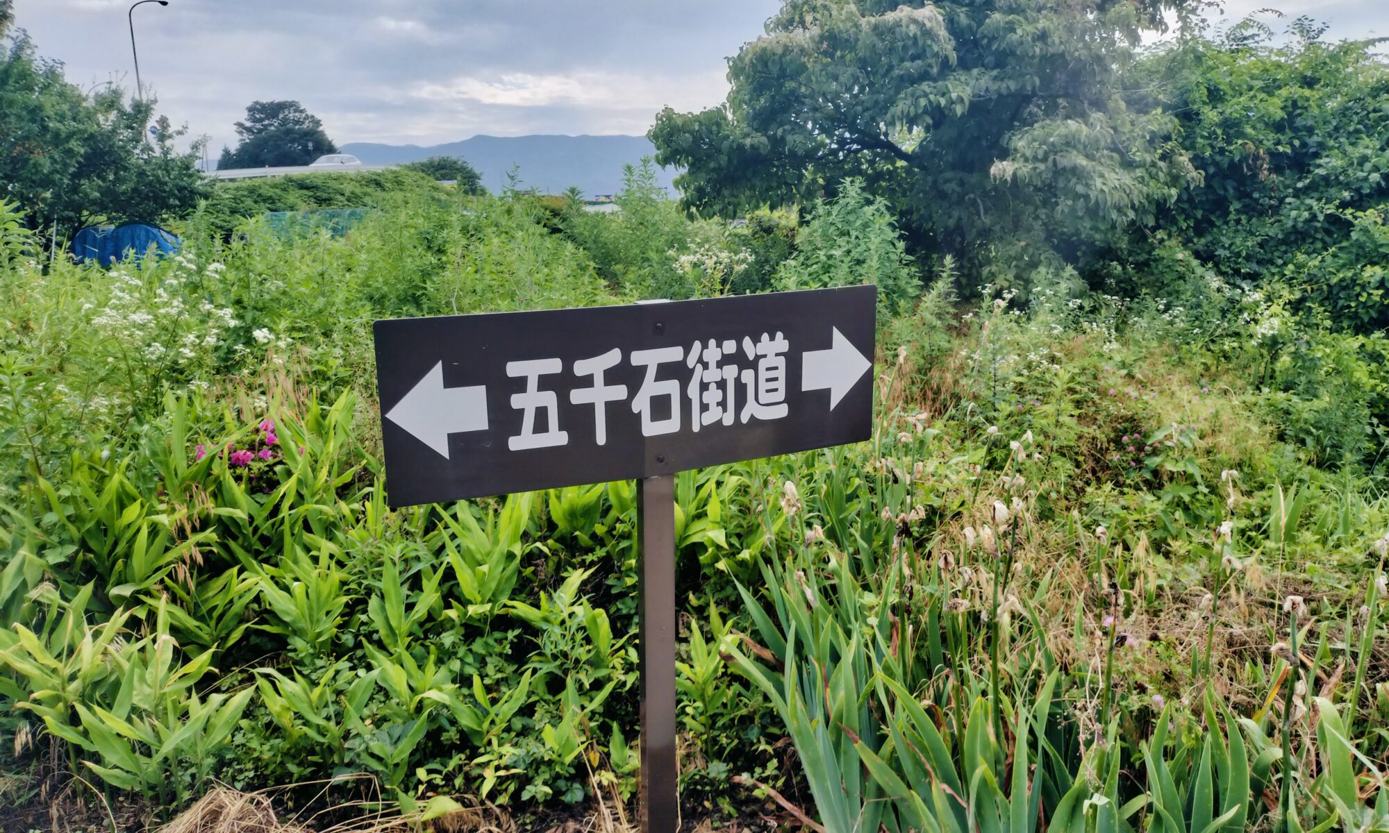 五千石街道